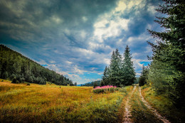 Осень в горах Родопы / Осень в горах Родопы - Болгарии