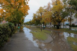 Вот и осень пришла в город / Прогулка в городе после дождя.