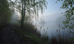 утренний туман... / __________