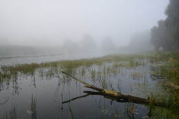 Туманное утро на лесном озере. / Туман на лесном озере скрывал очертания леса.