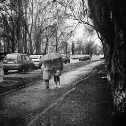 Зонтик на двоих / Март 2013 года. Любитель-166У
