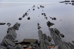 Море Баренцево... / Почти Ледовитый океан, море завораживает, ка и уходящие в никуда базальтовые скалы....