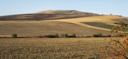 Румынское поле / Румынское поле