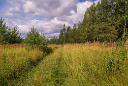 Осень постучалась в двери / Осень постучалась в двери