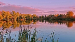 Осень постучалась в двери / Осень постучалась в двери