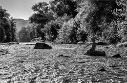 &nbsp; / утро на речке.