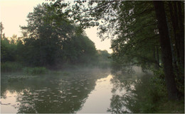 предрассветное / ***