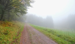Дорога в туман / Опушка осеннего леса прячется в тумане
