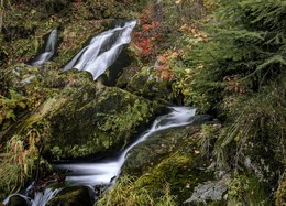 Водопад Триберг (Triberger Waterfall) / Семикаскадный водопад Триберг в одноименном городке в Шварцвальде считается самым высоким в Германии. Общая высота падения его вод, которые сюда приносит река Гутах, – 163 метра. Вдоль потока водопада устроено несколько смотровых площадок, а с наступлением темноты Триберг подсвечивается. Самый впечатляющий вид на водопад открывается, безусловно, снизу, зато с верхних площадок хорошо виден городок Триберг.