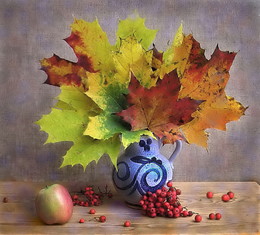 Краски осени. / Натюрморт из листьев остролистного клёна, ягод красной рябины и яблока.