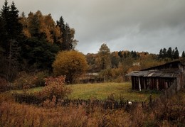 Осень в Подмосковье / Можайский район