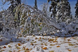 Сентябрьский снег / Хребет Тигер -Тыш, Аскизский район Республики Хакасия