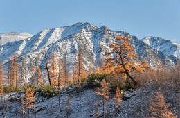 Последние краски осени... / В путешествии по Якутии. Осень 2015 г.