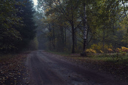 Осенняя дорога / Рассвет по дороге на Круглое озеро.Брянская обл.