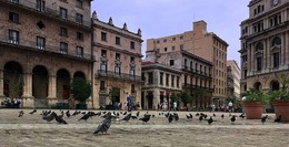Площадь с голубями в старой Гаване / Площадь с голубями в старой Гаване