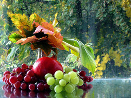 Дары осени / фрукты, осенние листья, осень за окном, дождь