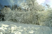 zima / daje v solne4noy Italii padaet sneg )))