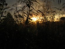 рассвет / тихо и спокойно... даже ветра нет