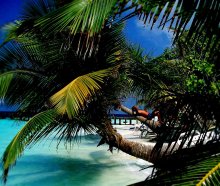 Рай / Остров Адааран, Северный Атолл Мале, Отель Клаб Раннали. Индийский океан.