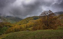 Золотая Весна / Фрагмент пано
Те кто был в это время в Крыму не дадут соврать на сколько богата красками крымская весна