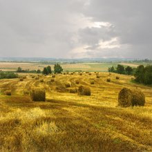 К осени / на Витебской возвышенности