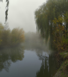 Речка.Туман.Осень... / осень...