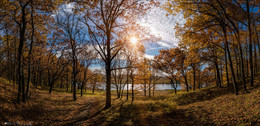 Вдыхая осень. / Дубовый лес осенью, на берегу реки Упа.