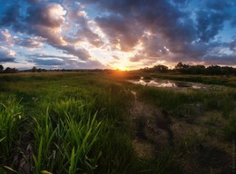 Летний закат / ***