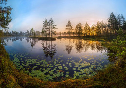 Лёгкость лета / На болотистом озерном комплексе. 
Работа сделана во время фототура «Магия Ленинградской области».
