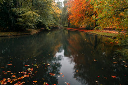 Осень / Польша.