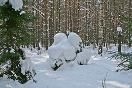 ПРИРОДА-САМЫЙ ЛУЧШИЙ ХУДОЖНИК / ИЩУ В ЛЕСУ СНЕЖНЫЕ СКУЛЬПТУРЫ ЛЮДЕЙ И ЗВЕРЮШЕК