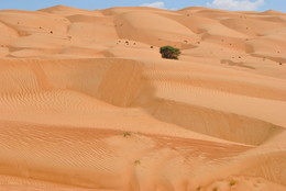 Элементарная не физика / пустыня,Оман.