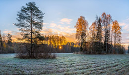 Островки / Осенний рассвет с инеем. 
Рассвет был ярко-красочный, картинный. Чистым воздухом и штилем, только листья опадали после ночного заморозка. 
Павловский парк — пейзажный парк в составе Государственного музея-заповедника «Павловск». Расположен в долине реки Славянки в городе Павловске.
Санкт-Петербург. Парк Павловск. 23 октября, 2017.