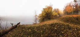 Туманная осень / Путиловский лес