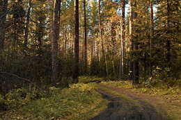 К ВЕЧЕРУ / ТОМСКАЯ ОБЛАСТЬ