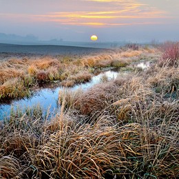 Осеннее утро / Osenneye utro