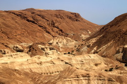 Все оттенки коричневого / Иудейская пустыня. Израиль.