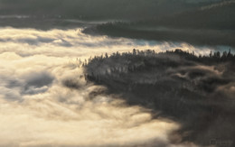 На берегах рассветного тумана... / Окрестности Архыза. Только что вставшее солнце золотит туман, дожидавшийся его в долинах.
