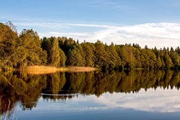 Водная гладь. / Озеро, лес.