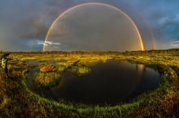 Удача во время ливня на болоте / Во время практического фотоурока, который я проводил в болотно-озёрном комплексе, не повезло с погодой, пошёл сильный ливень. Мы побежали обратно к машине, но вдруг солнце всё-таки пробилось, и разгорелась, буквально вспыхнула, гигантская радуга над всем болотом. 
Север Ленинградской области, Выборгский район. Лето.