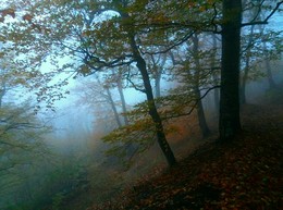 Осень в горах.... / Железноводск. Октябрь
