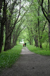 Дорогу осилит идущий / Ботанический сад, Минск.