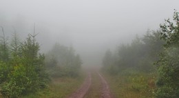 Туманными дорожками / Скрывается лес в туманной пелене