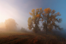 Утро купалось в осеннем тумане. / Осень