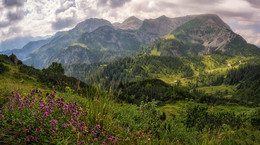 С цветочками на ПП :) / Склоны горы Йеннер,Альпы, Верхняя Бавария, Берхтесгаден.
http://www.youtube.com/watch?v=qVlPoVxZfnE