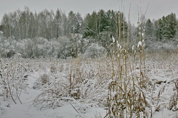 СЕРЫЙ ДЕНЬ / ТОМСКАЯ ОБЛАСТЬ