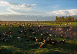 &nbsp; / Киргизия, окрестности озера Иссык-куль, северный берег, 05.2017