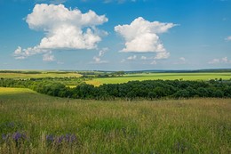 Причудливые облака / Татарстан,д.Камаево