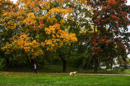 Осенняя зарисовка. / в парке