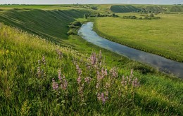  / старица реки Казанка,Татарстан,Камаево